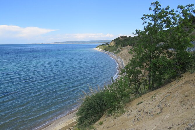 2 Days 1 night Gallipoli Troy Landing Beaches Tour From Istanbul - Meals and Vegetarian Options: Simple, Included, and Built into the Day