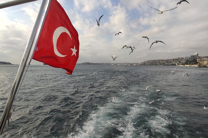 2-Hour Bosphorus Cruise in Istanbul with Guide - Should you book this Bosphorus Cruise with Guide?