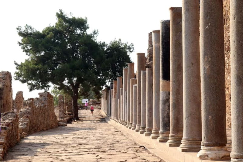 Alanya: Ancient & Coastal Ruins Tour – Syedra & Iotape - Key highlights worth showing up for