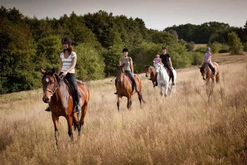 Alanya: Horse Riding Tour with Hotel Transfers - What the Guides Do (And Why It Matters for Beginners)