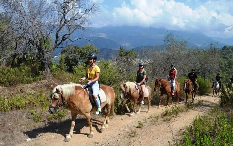 Alanya: Horse Riding Tour with Hotel Transfers - Horses, Safety, and the Weight Limit You Should Not Ignore
