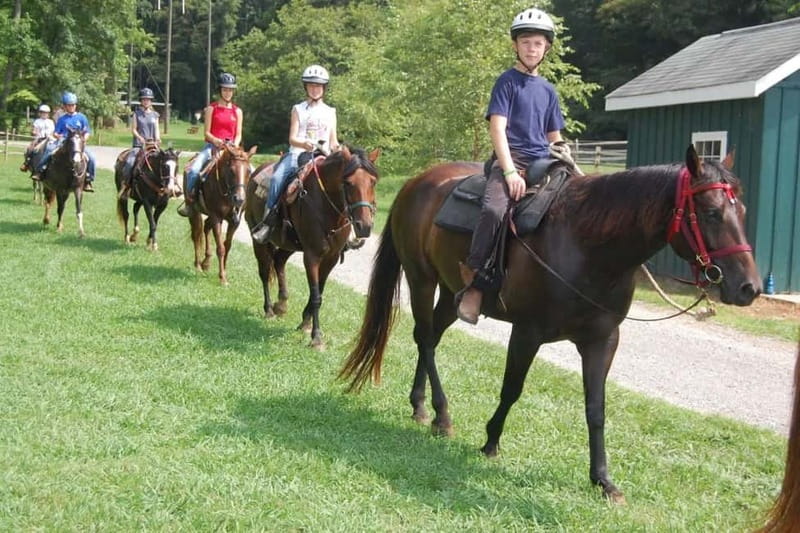 Alanya: Horse Riding Tour with Hotel Transfers - Price and Value: What $89 Buys You Here