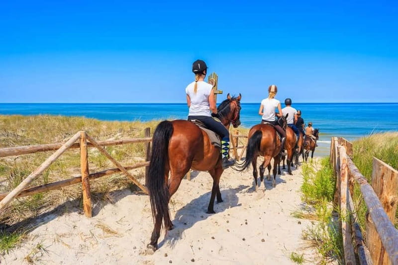 Alanya: Horse Riding Tour with Hotel Transfers - The Main Event: Forest Trails, Taurus Views, and the Syedra Stop