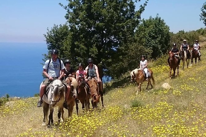 Alanya: Horseback Ride Through Nature near Syedra Ruins - Horse Club Alanya: how the experience starts (and why it matters)