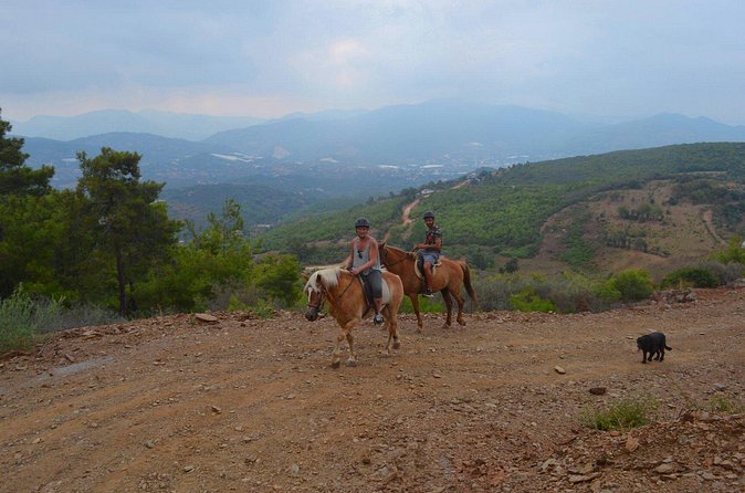 Alanya: Horseback Ride Through Nature near Syedra Ruins - Riding the Alanya Peninsula: the views people actually remember