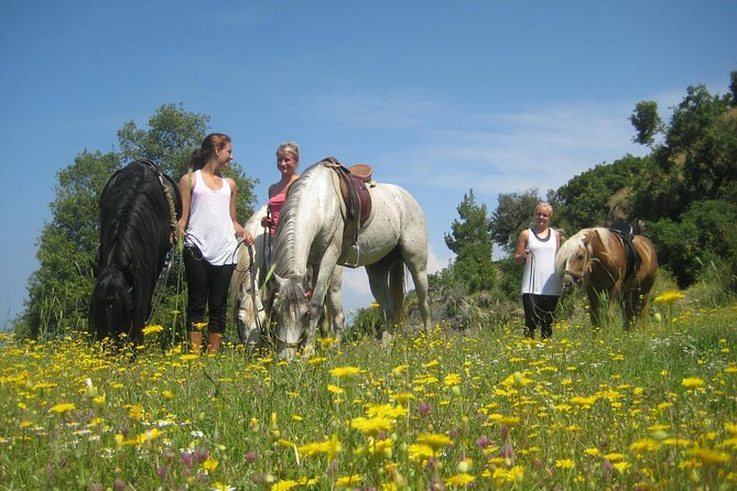Alanya: Horseback Ride Through Nature near Syedra Ruins - Small-group pacing: what your 3 hours will feel like