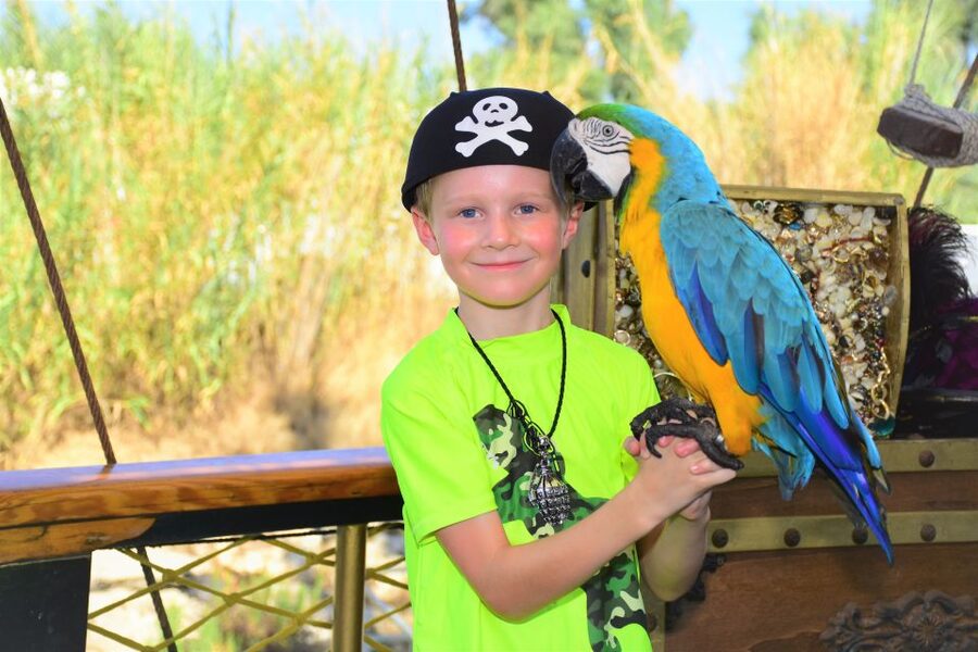 Alanya: Party Pirate Boat Trip w/Meal, Drinks, Pickup Option - Lunch Onboard: What You Get, and Why It Works