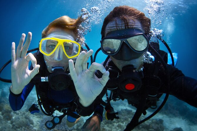 Alanya Scuba Diving Adventure: 2 Guided Dives with Lunch - Quick highlights