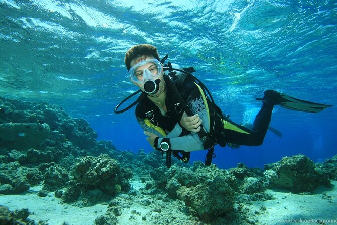 Alanya Scuba Diving Adventure: 2 Guided Dives with Lunch - Getting From Your Hotel to Alanya’s Marina on a Tight Schedule