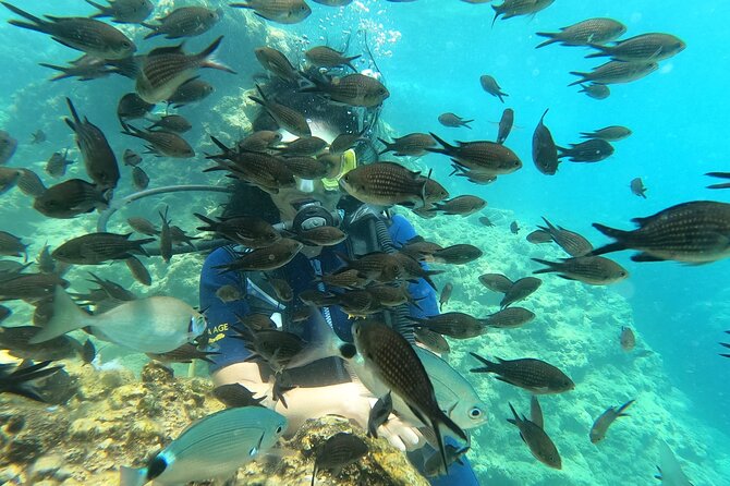 Alanya Scuba Diving Adventure: 2 Guided Dives with Lunch - Onboard Lunch and Sea Break: How the Boat Setup Works