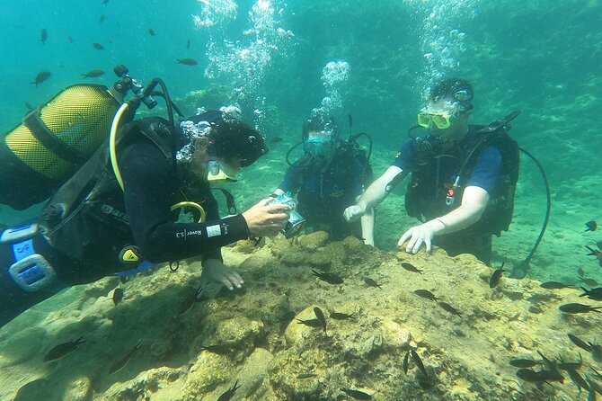 Alanya Scuba Diving Adventure: 2 Guided Dives with Lunch - Second Underwater Session in the Calm Bay: More Rhythm, Less Stress