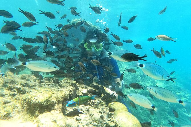 Alanya Scuba Diving Adventure: 2 Guided Dives with Lunch - The Real Price Check: What $54.01 Covers and What Costs Extra