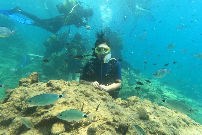 Alanya Scuba Diving Adventure: 2 Guided Dives with Lunch - Should You Book This Alanya Two-Session Scuba Adventure?