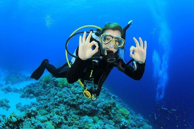 Alanya : Scuba Diving for Beginners w/ Lunch and Transfer - Morning Pickup From Alanya Hotels
