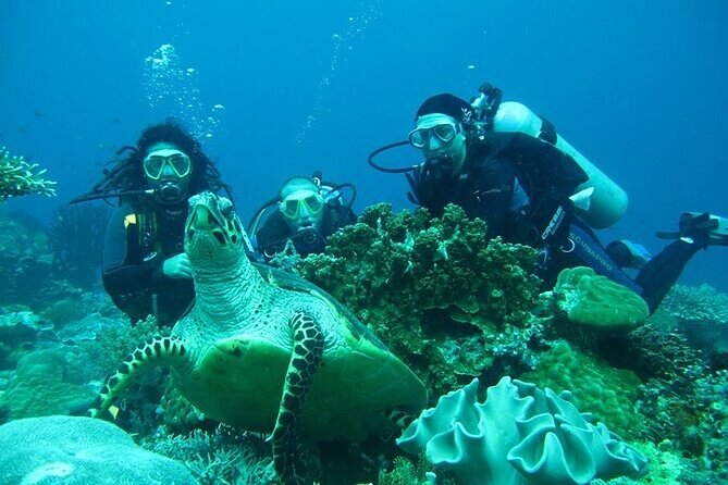 Alanya : Scuba Diving for Beginners w/ Lunch and Transfer - Price and Value for a Beginner-Friendly Day