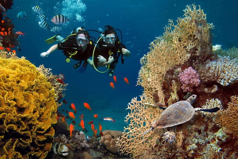 Alanya: Scuba Diving Tour with Lunch and Hotel Transfers - Key highlights worth your attention