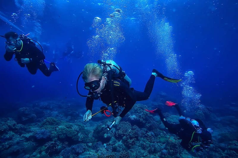 Alanya: Scuba Diving Tour with Lunch and Hotel Transfers - Your trainer, your first skills, and how they manage nerves