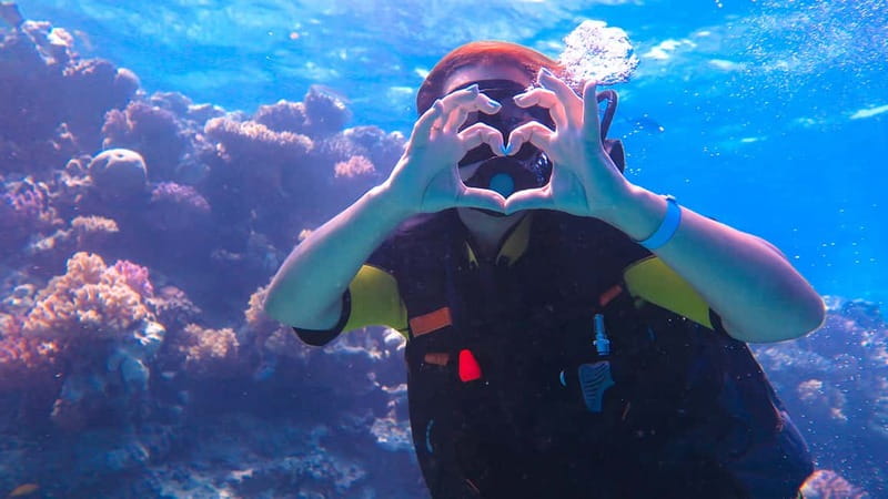 Alanya: Scuba Diving Tour with Lunch and Hotel Transfers - Equipment, insurance, and why comfort matters more than you think