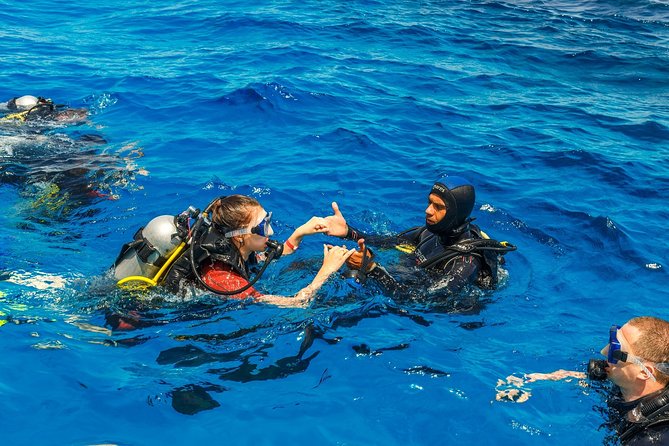 Alanya Scuba Diving with Hotel Transfer incl. Lunch - Alanya under the surface: what this full-day plan really delivers