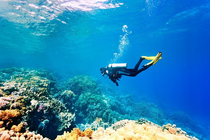 Alanya Scuba Diving with Hotel Transfer incl. Lunch - The 9:30 start: how the day flows from hotel gate to boat