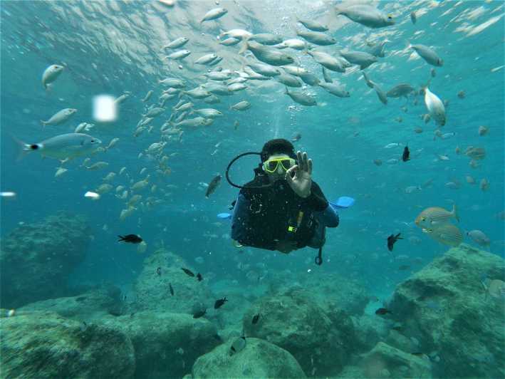 Antalya and Kemer: Full Day Scuba Diving Tour with Lunch - Key Points to Know Before You Go