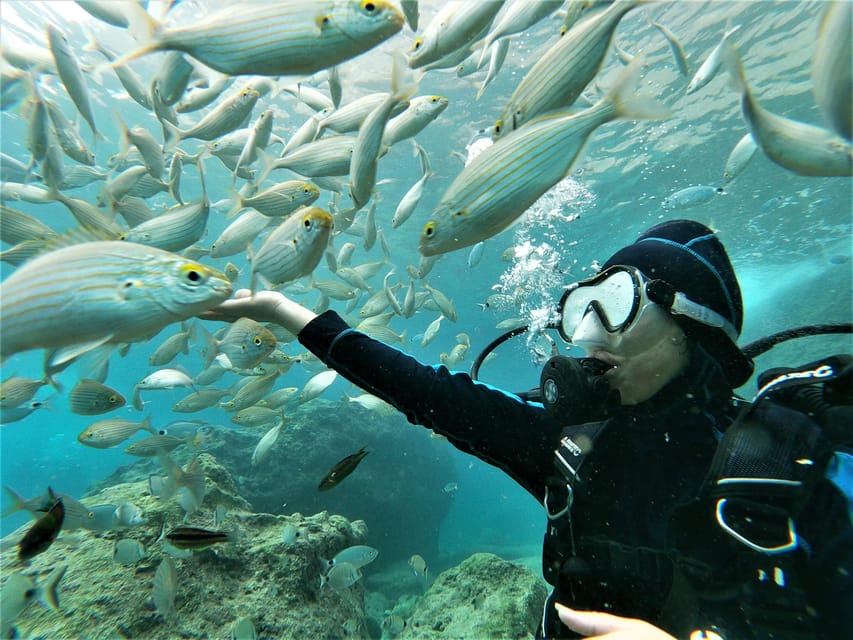 Antalya and Kemer: Full Day Scuba Diving Tour with Lunch - Your Underwater Plan: Shipwreck, Colorful Reefs, and Cave Country