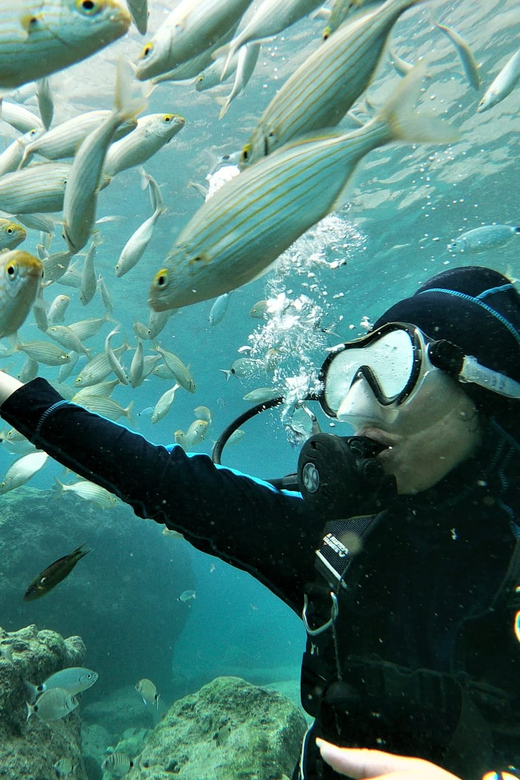 Antalya and Kemer: Full Day Scuba Diving Tour with Lunch - Underwater Time Management: What the Day Feels Like in Practice
