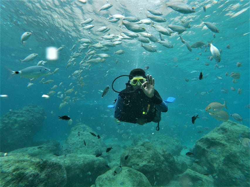 Antalya and Kemer: Full Day Scuba Diving Tour with Lunch - Price and Value: $27 Looks Like a Steal, But Ask One Question