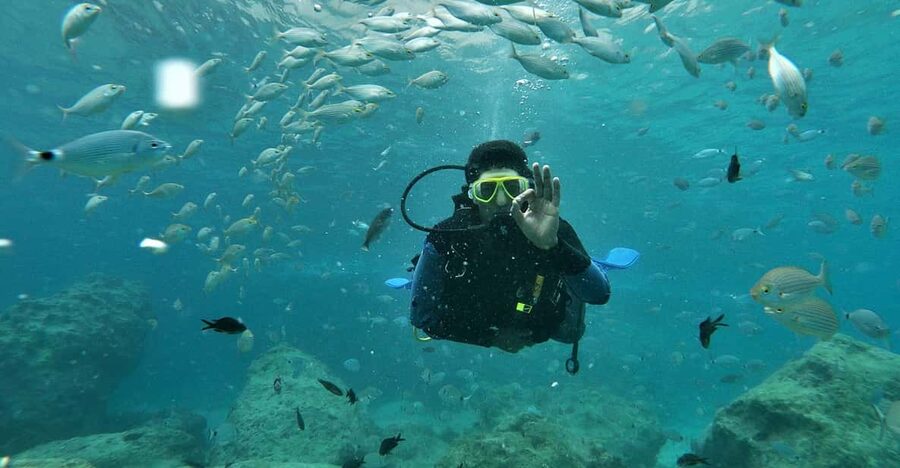 Antalya and Kemer: Full Day Scuba Diving Tour with Lunch - Getting Started: Pickup, Gear, and Safety Briefing That Sets the Tone