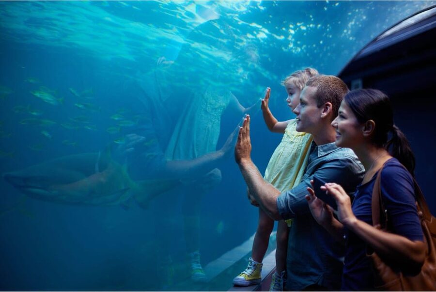 Antalya: Aquarium and Wax Museum Entry Ticket - Key points before you go