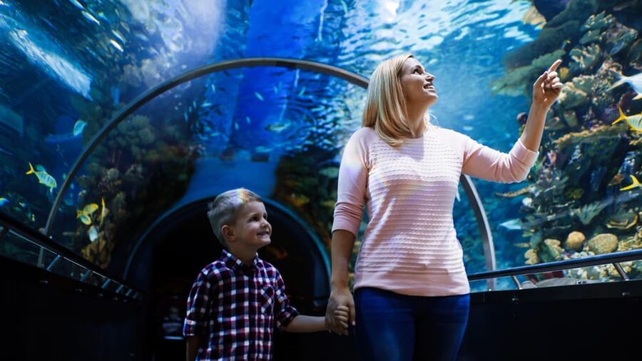 Antalya: Aquarium and Wax Museum Entry Ticket - Animal viewing that actually has timing: shark feedings and close encounters