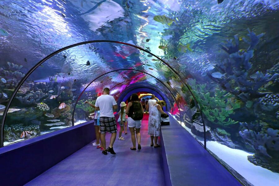Antalya: Aquarium and Wax Museum Entry Ticket - The underwater show options: XD cinema and what is not included
