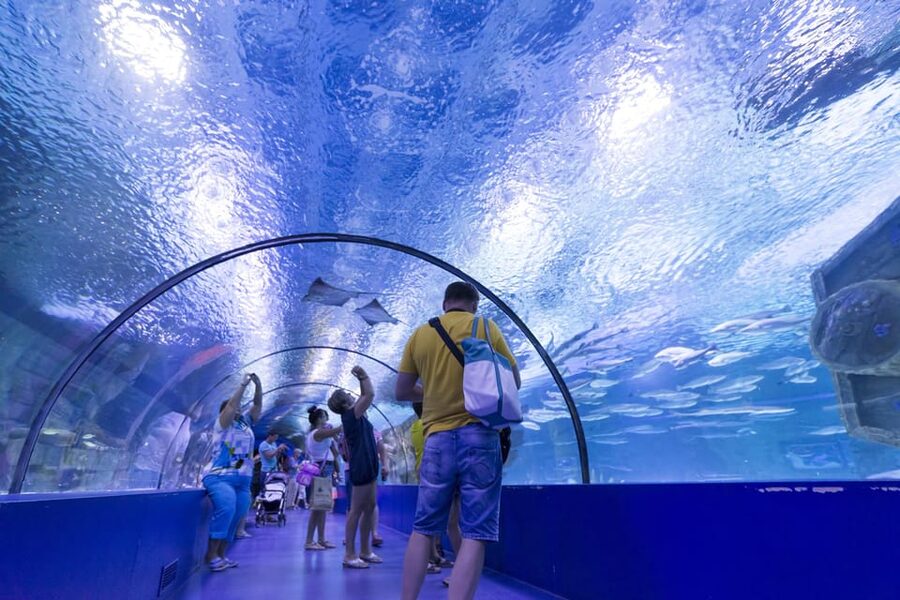 Antalya: Aquarium and Wax Museum Entry Ticket - How long to plan and a sensible order for your day