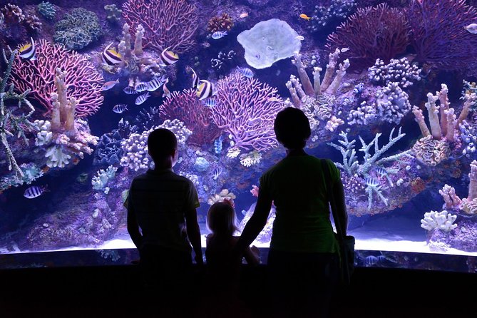 Antalya: Aquarium Ticket With Optional Transfer - Inside Antalya Aquarium: a family-friendly ticket you can actually use