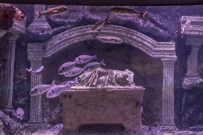 Antalya: Aquarium Ticket With Optional Transfer - Price and value: is $48.06 a fair deal?