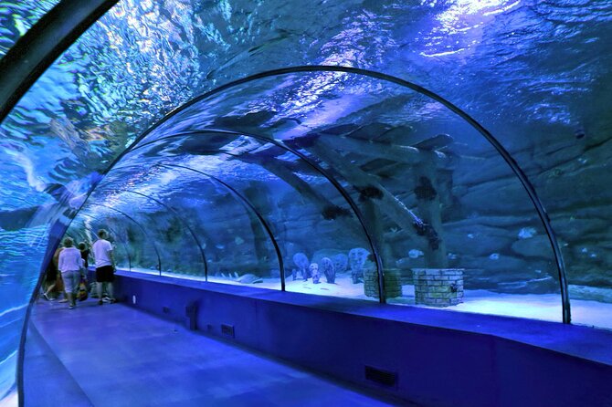 Antalya: Aquarium, Wax Museum & Combo Package Options - The 1-Day Antalya Aquarium and Wax Museum Combo That Actually Works