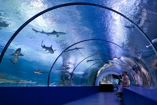 Antalya: Aquarium, Wax Museum & Combo Package Options - Optional Add-Ons If You Want the Full Theme-Park Day