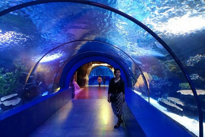 Antalya: Aquarium, Wax Museum & Combo Package Options - Price and Value: Is $50 a Smart Deal or a Starter Ticket?