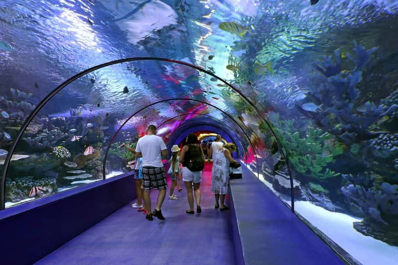 Antalya: Aquarium, Wax Museum & Combo Package Options - Who Should Book This Combo, and Who Might Feel Crowded Out