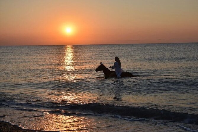 Antalya Horse Riding On Beach And Through The Forests For 2 Hours - Why this Antalya ride mixes beach fun with real scenery