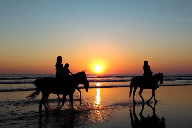 Antalya Horse Riding On Beach And Through The Forests For 2 Hours - Safety and gear: what to watch before you mount