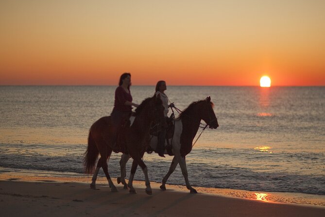 Antalya Horse Riding On Beach And Through The Forests For 2 Hours - Who should book this horse ride, and who should skip it