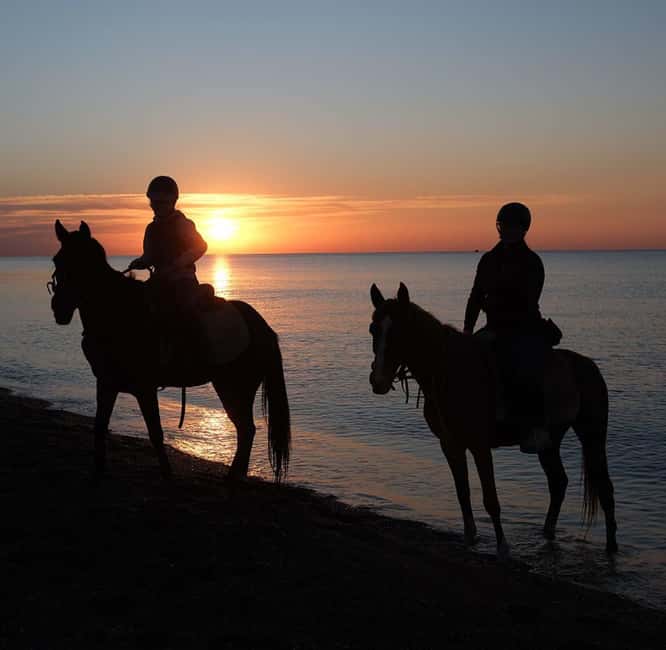Antalya: Horse Riding on Sea and in the Forest - What to bring, what to wear, and photo expectations