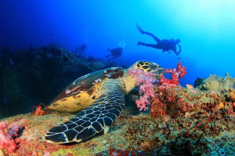 Antalya/Kemer: Scuba Diving Experience with 2 Dives & Lunch - Getting to Kemer Marina and the Poseidon boat setup