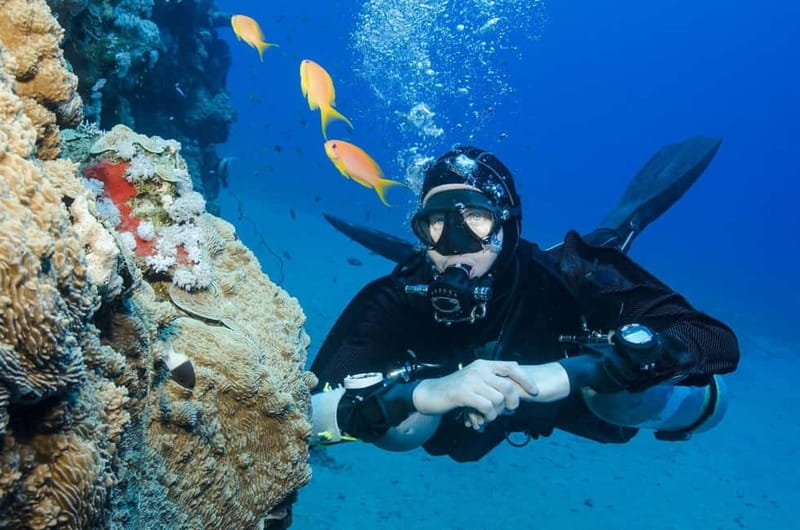 Antalya/Kemer: Scuba Diving Experience with 2 Dives & Lunch - Aquarium Bay style first stop: what your first underwater session feels like