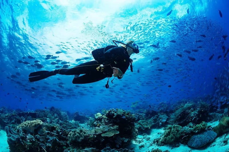Antalya/Kemer: Scuba Diving Experience with 2 Dives & Lunch - Photo and video add-ons: worth it for memories, watch the pricing
