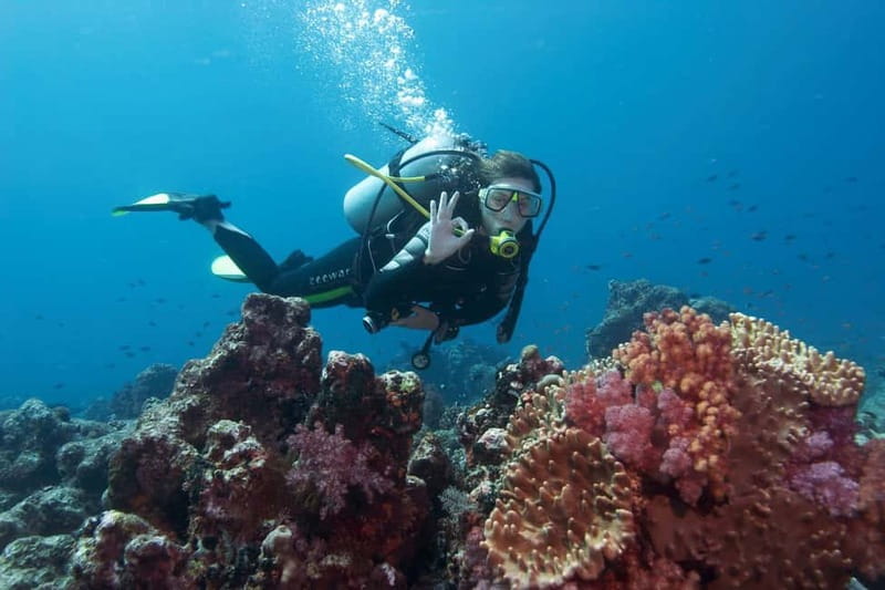 Antalya/Kemer: Scuba Diving Experience with 2 Dives & Lunch - Who should do this Kemer itinerary, and who should skip it