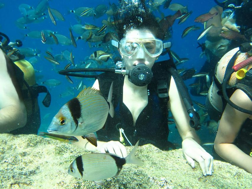 Antalya/Kemer: Scuba Diving Experience with Lunch & Pick up - Kemer’s Two-Bay Scuba Day: The Big Idea