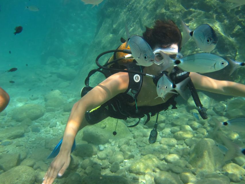 Antalya/Kemer: Scuba Diving Experience with Lunch & Pick up - Getting There: Pickup, Meeting Point, and How the Day Starts