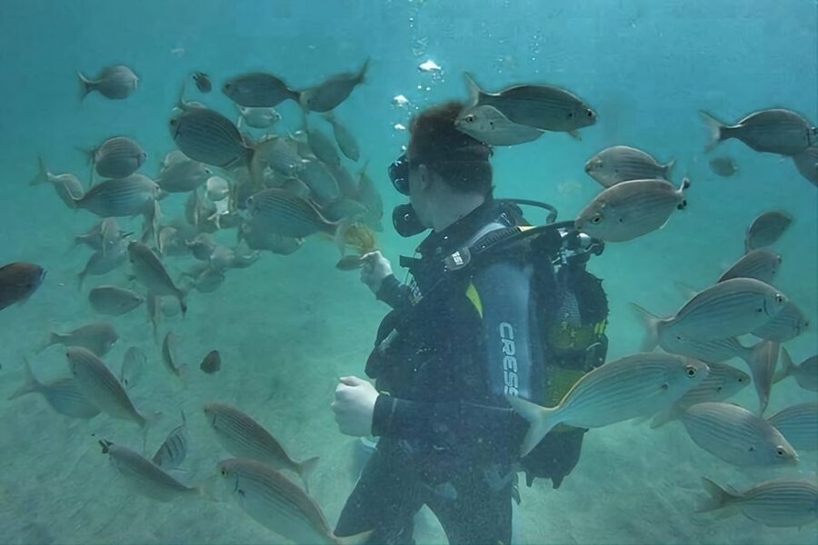 Antalya/Kemer: Scuba Diving Experience with Lunch & Pick up - Aquarium Bay (First Session): Shallow Water, Real Marine Life